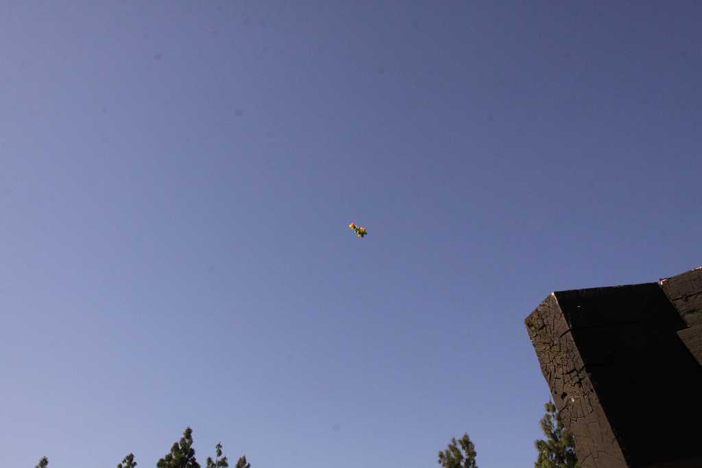 IMG_1563