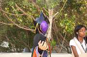 IMG_00231 