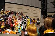 IMG_02831 