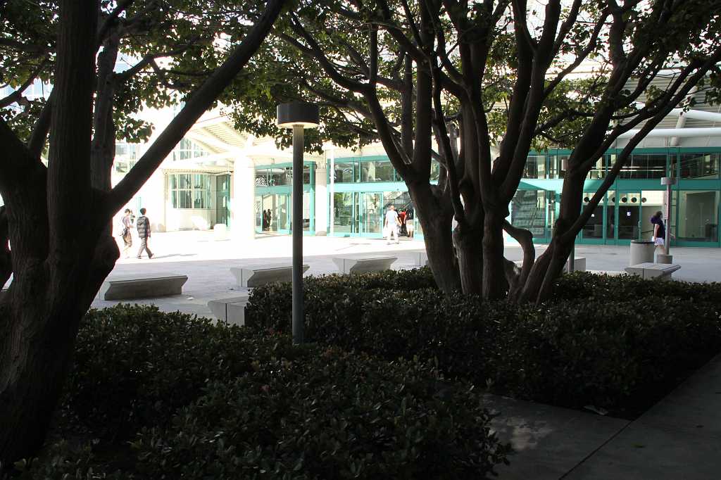 IMG_03976