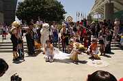 IMG_05005 