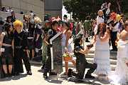 IMG_05092 