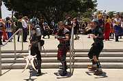 IMG_05232 