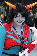 IMG_06354 