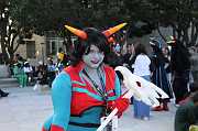 IMG_06360 