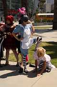 IMG_10751 