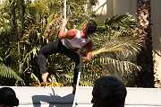 IMG_1681 
