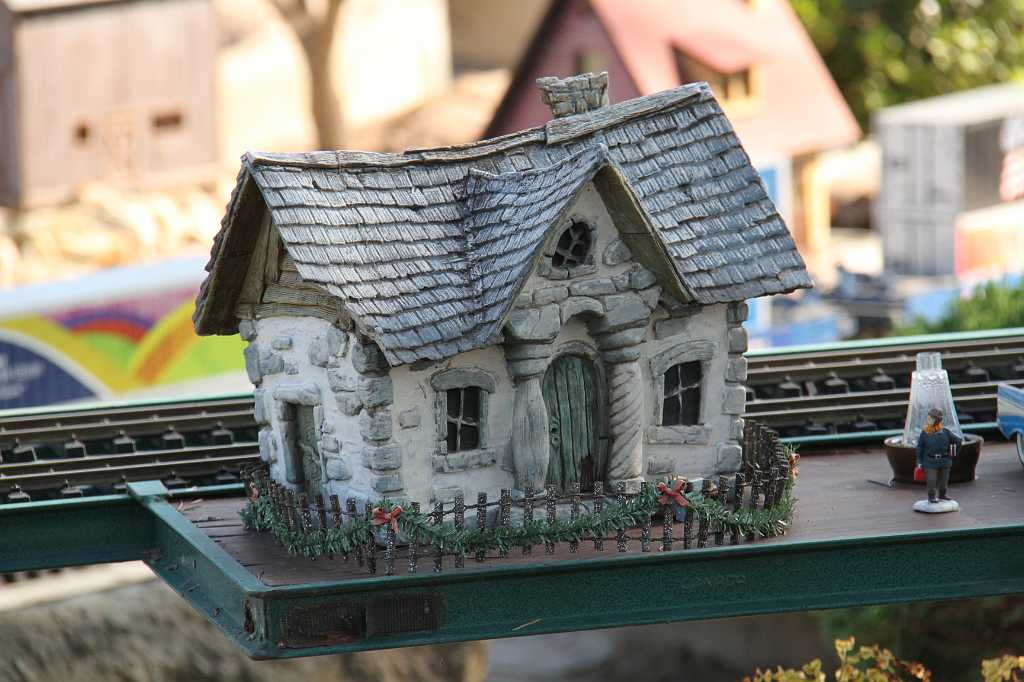 IMG_5739