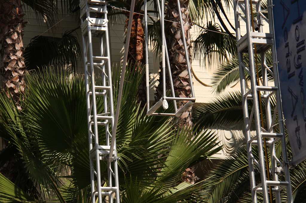 IMG_0558