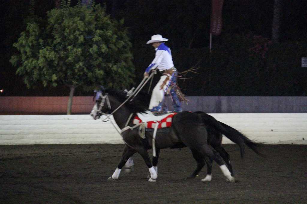 IMG_3138