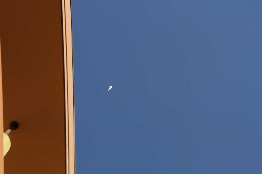 IMG_0674