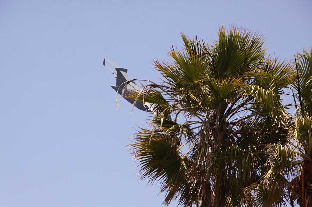 IMG_1959