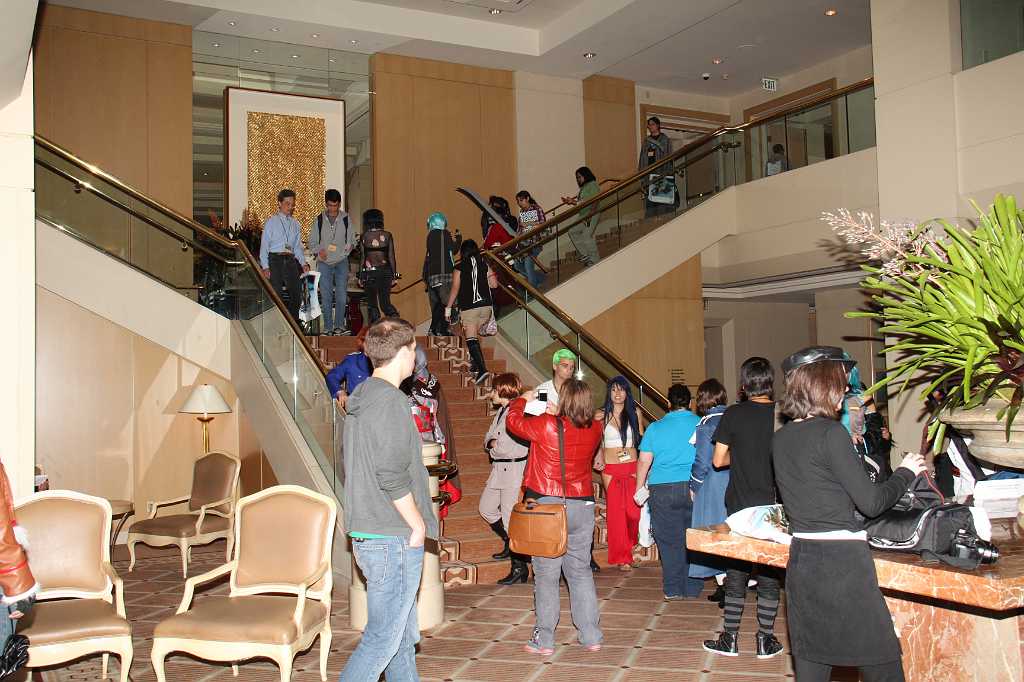 IMG_0868