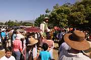 IMG_0197 