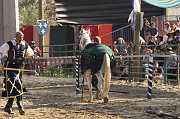 IMG_2059 