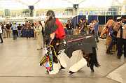 IMG_1224 
