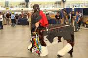 IMG_1225 