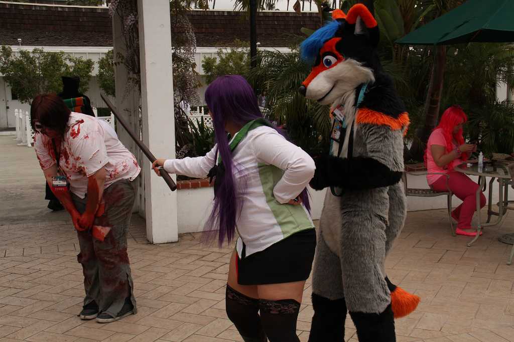 IMG_0262
