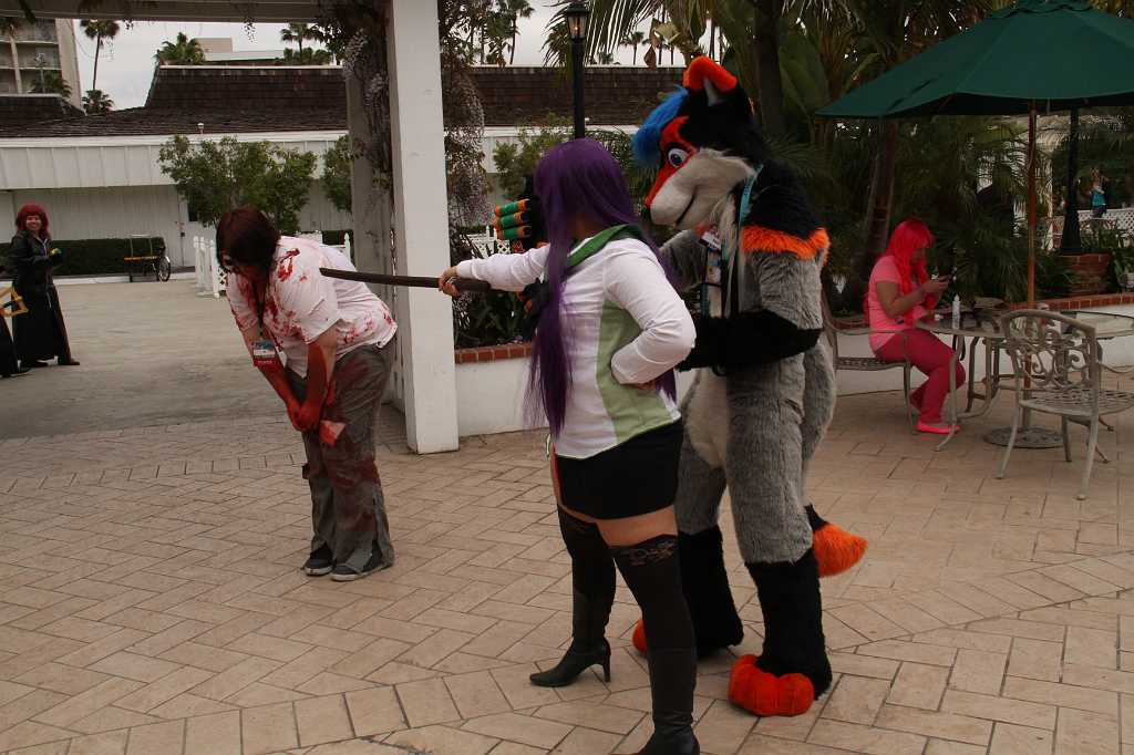IMG_0264