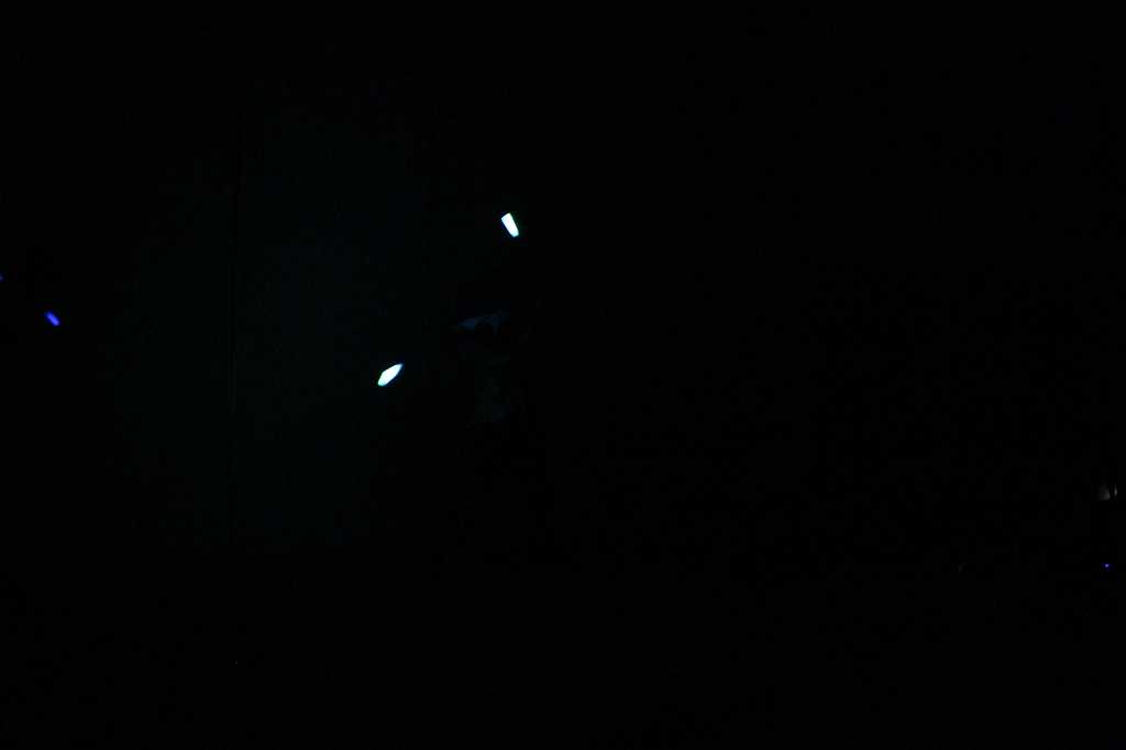 IMG_2190
