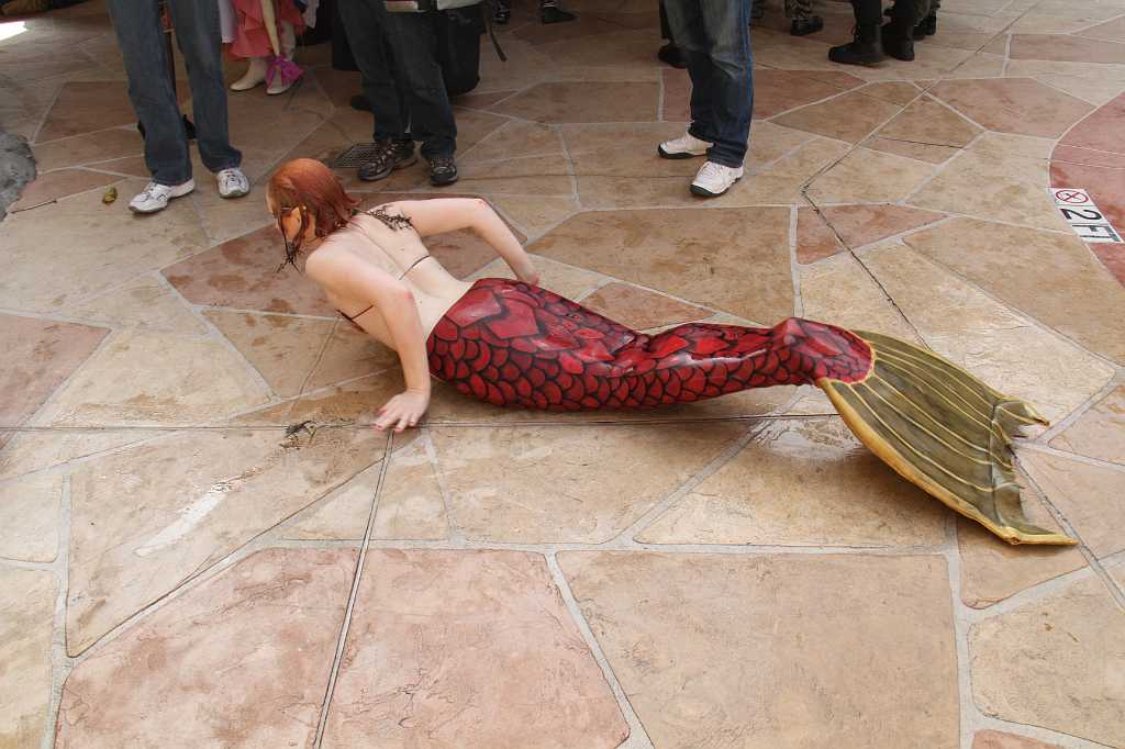IMG_1666