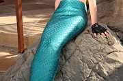 IMG_1540 