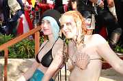 IMG_1690 