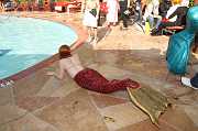IMG_1711 