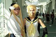 IMG_0011 