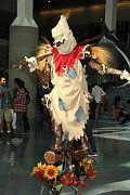 IMG_0031 