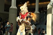 IMG_0035 