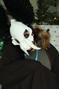 IMG_0060 