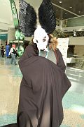 IMG_0061 