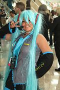 IMG_0234 