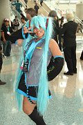 IMG_0236 