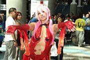 IMG_0462 