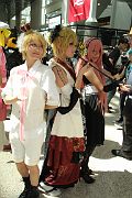 IMG_0555 