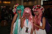 IMG_0569 