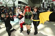 IMG_0594 