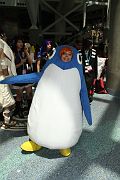IMG_0787 