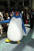 IMG_0789 
