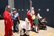 IMG_0854 