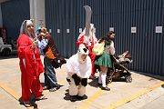 IMG_0857 