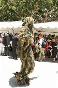 IMG_1041 