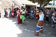 IMG_1537 