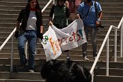 IMG_1551 