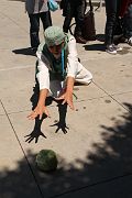 IMG_1606 