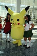 IMG_2519 