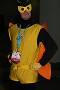 IMG_2557 