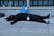 IMG_2653 